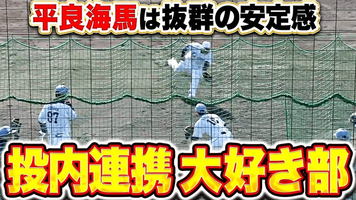 【投内連携大好き部】平良海馬『安定感抜群のフィールディング！各投手が活気ある動き！』