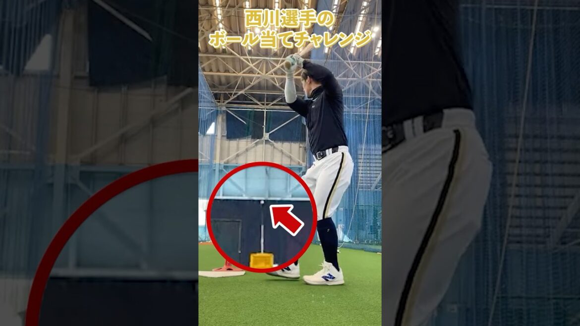 西川選手のボール当てチャレンジ💪#西川龍馬 #チャレンジ #オリックス #shorts