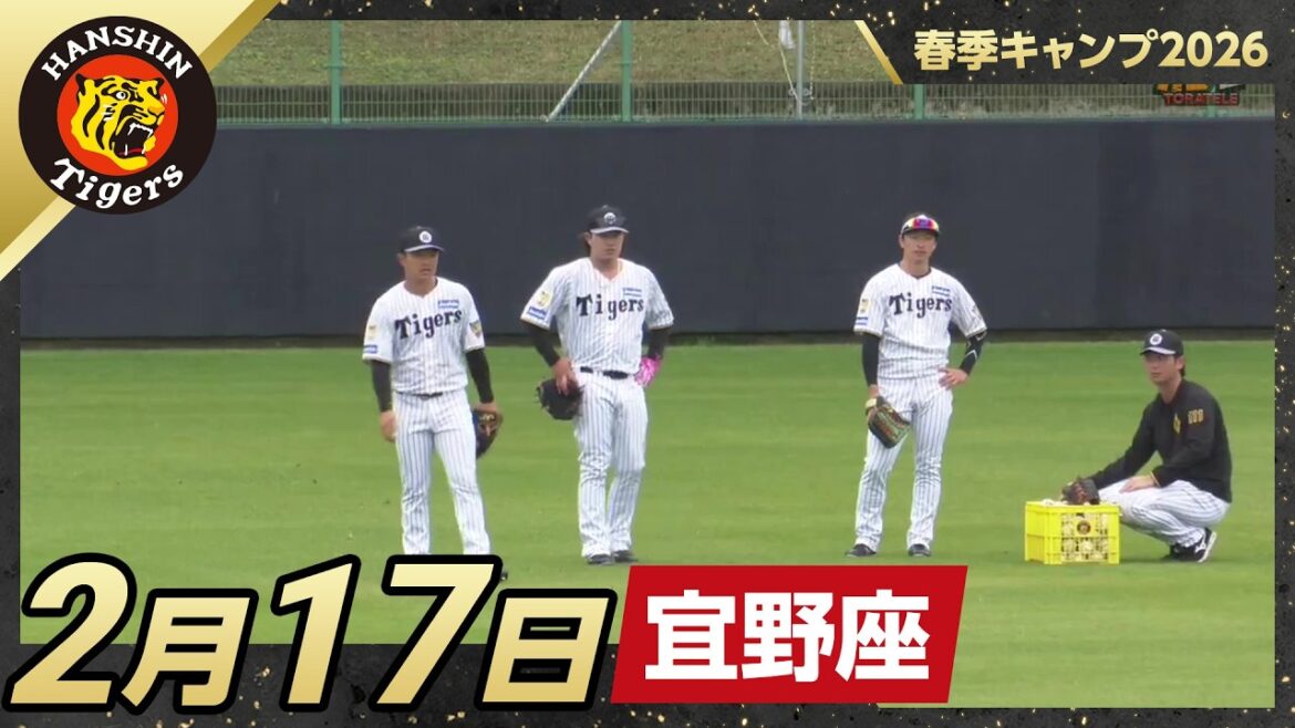 【春季キャンプ2026・宜野座】2月17日