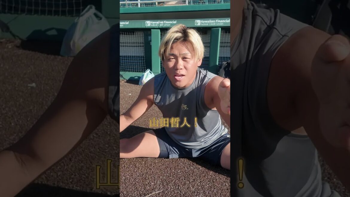 【東京ヤクルトスワローズ】山田哲人選手の応援歌歌ってみた。#shorts #応援歌#東京ヤクルトスワローズ