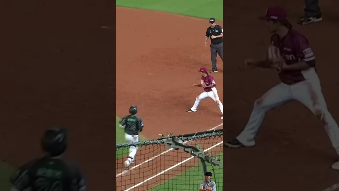 突破僵局制台鋼雄鷹執行短打推進 結果王柏融停在原地洪總傻爆眼 CPBL Baserunning Error Moment . #baseball #CPBL #shorts #台鋼雄鷹