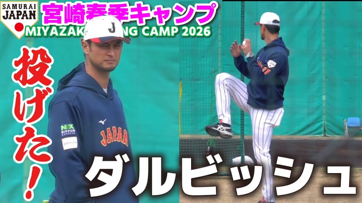 【侍ジャパン】ダルビッシュ有がついに投げた!待ちわびたファンが殺到!キャンプ地は一瞬で歓喜の渦に! WBC 侍JAPAN 【侍ジャパン】ダルビッシュ有がついに投げた!待ちわびたファンが殺到!キャンプ地は一瞬で歓喜の渦に! WBC 侍JAPAN