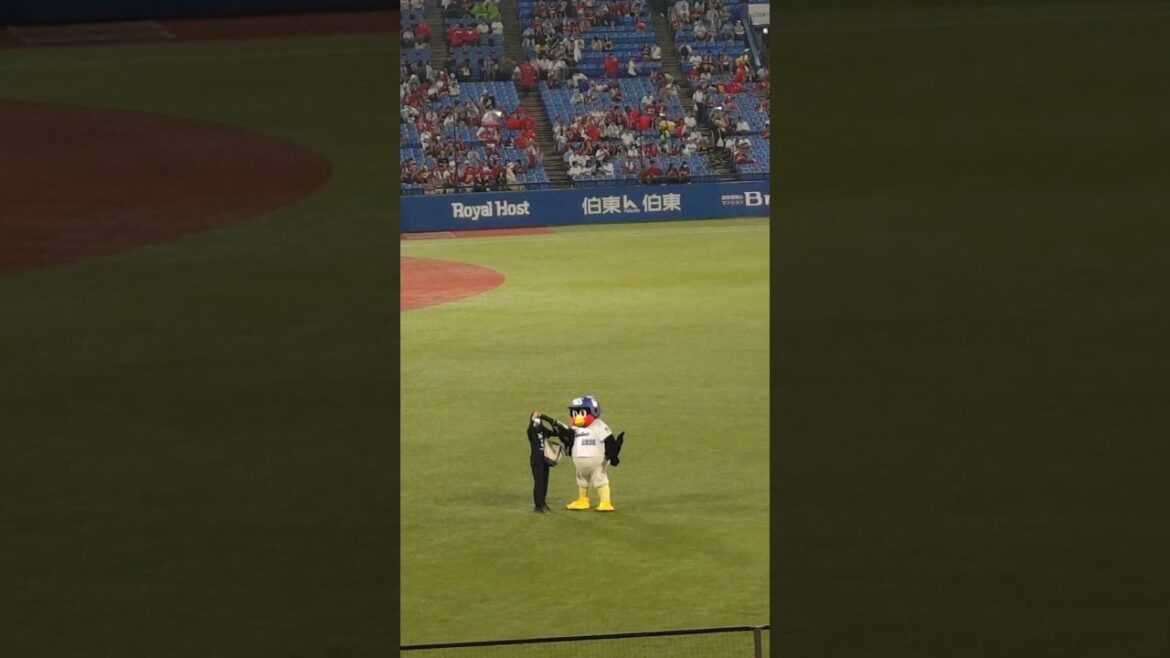 #バズーカタイム も#復活 ❓️#つば九郎 　#東京ヤクルトスワローズ 　#神宮球場 　#shorts　#燕征 　#応燕 　