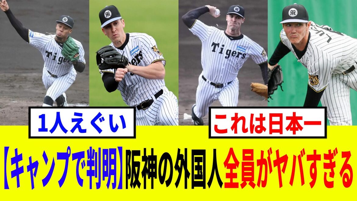 【キャンプで判明】タイガースの助っ人外国人8人がエグすぎる 【キャンプで判明】タイガースの助っ人外国人8人がエグすぎる