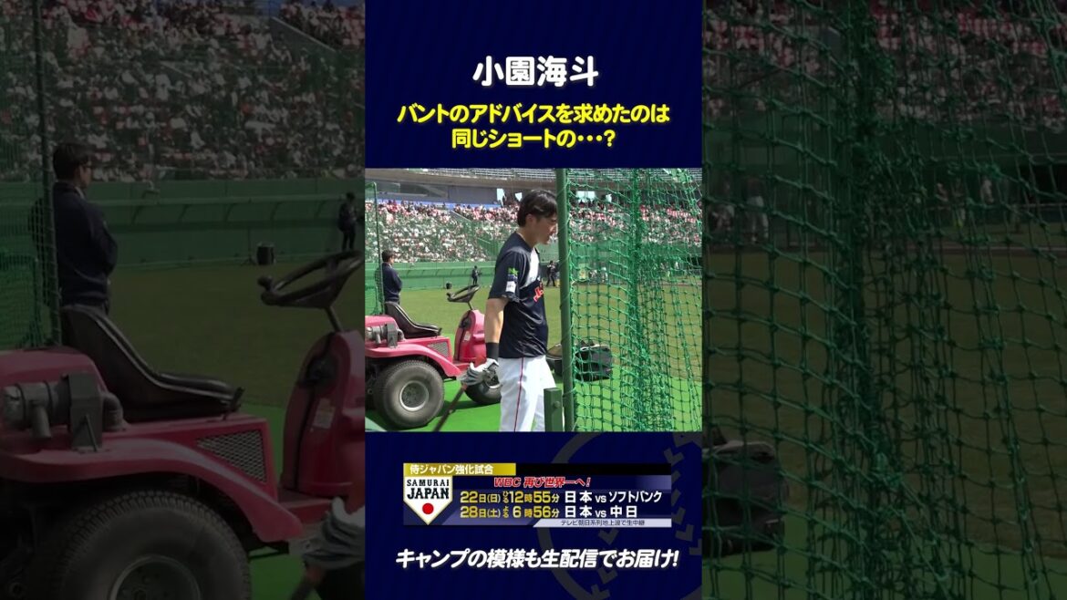【苦戦】小園海斗選手がバントのアドバイスを求めたのは・・・？ #侍ジャパン #wbc #baseball