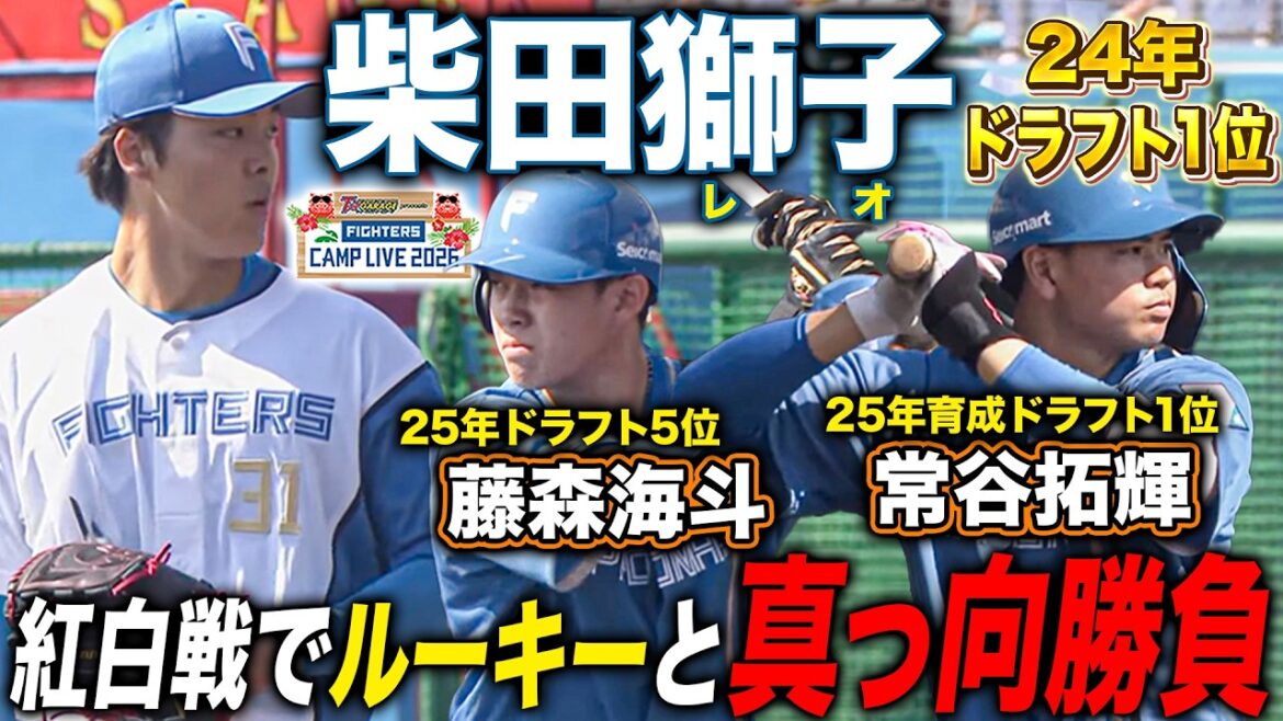 二刀流・柴田獅子が今季実戦初登板‼️新加入のドラフトルーキー藤森＆常谷相手に150キロ計測の真っ向勝負＜2/14ファイターズ春季キャンプ2026＞