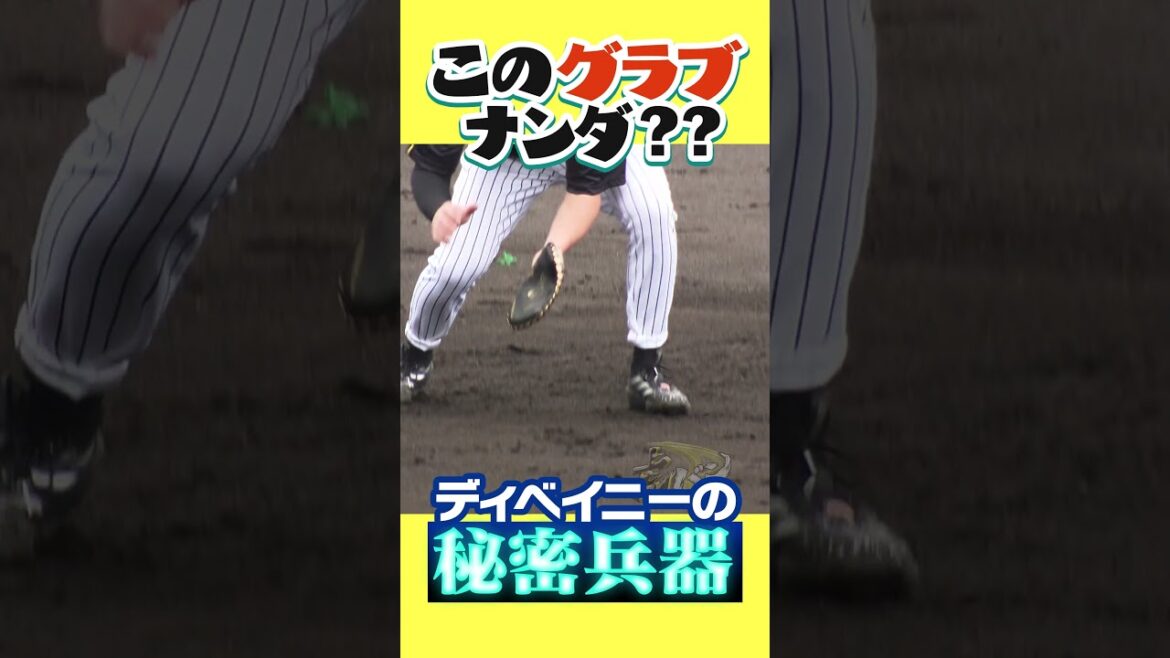 【謎アイテム】遊撃手候補ディベイニーの手に変なモノが！これが助っ人の秘密兵器だ！ #阪神タイガース #hanshintigers #虎バンチャンネル #プロ野球キャンプ #プロ野球