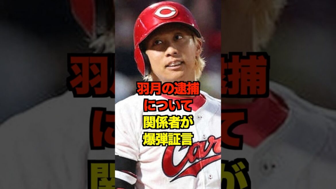 羽月の逮捕について関係者が爆弾証言　#新井監督 #新井貴浩 #羽月隆太郎 #ゾンビ #広島カープ#カープ #プロ野球 #野球 #shorts