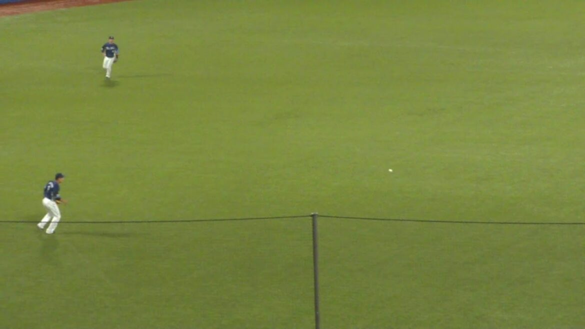 ヤクルト オスナ タイムリーヒット　ヤクルト vs 西武　2024年6月6日(木)　神宮球場