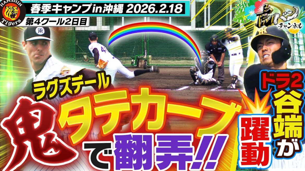 【超変化球】ラグズデールの縦カーブがエグイ！ドラ2谷端はバットで全力アピール！阪神タイガース密着！応援番組「虎バン」ABCテレビ公式チャンネル