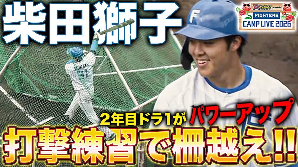 二刀流・柴田獅子が打撃練習で柵越え‼️淺間大基/中島卓也の打撃練習＜2/18ファイターズ春季キャンプ2026＞