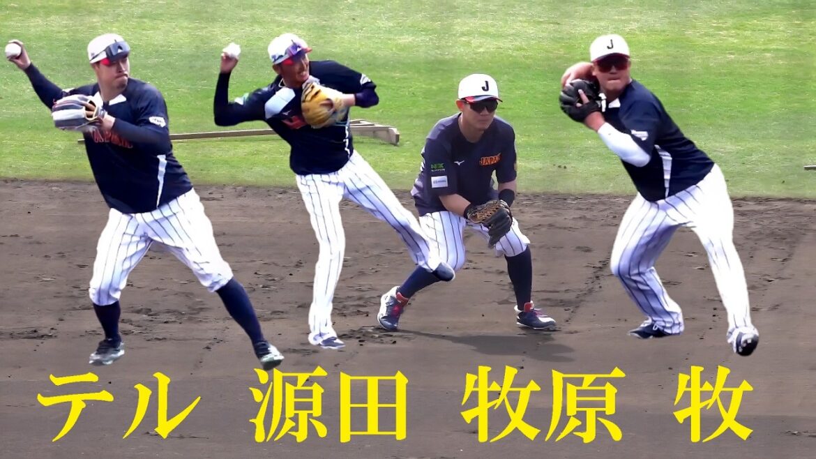 侍ジャパン宮崎キャンプ  内野守備練習 #牧原大成 #牧秀悟 #源田壮亮 #佐藤輝明