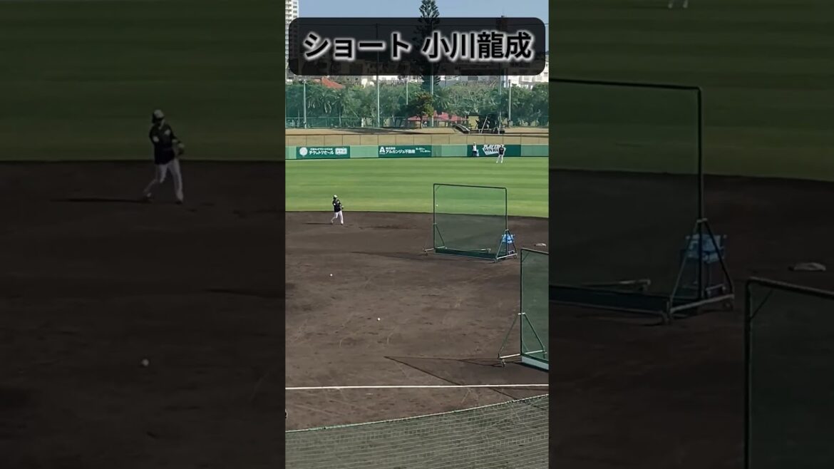 【春季キャンプ2026】普段とは異なる二遊間　ショート小川龍成選手とセカンド友杉篤輝選手の打球補 #千葉ロッテマリーンズ #春季キャンプ #糸満 #小川龍成 #友杉篤輝 #野球youtube