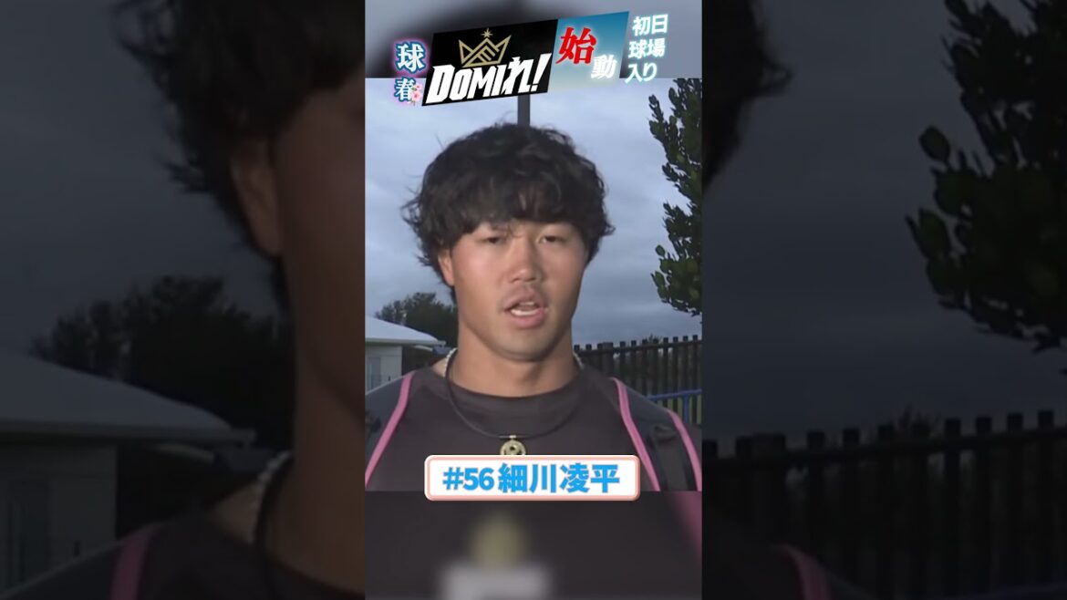 「ワクワクした気持ち」#細川凌平 の覚悟🔥#ドミれ #lovefighters