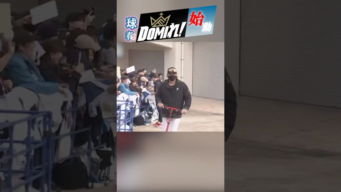 このキャンプが、未来を変える🔥#ドミれ #lovefighters