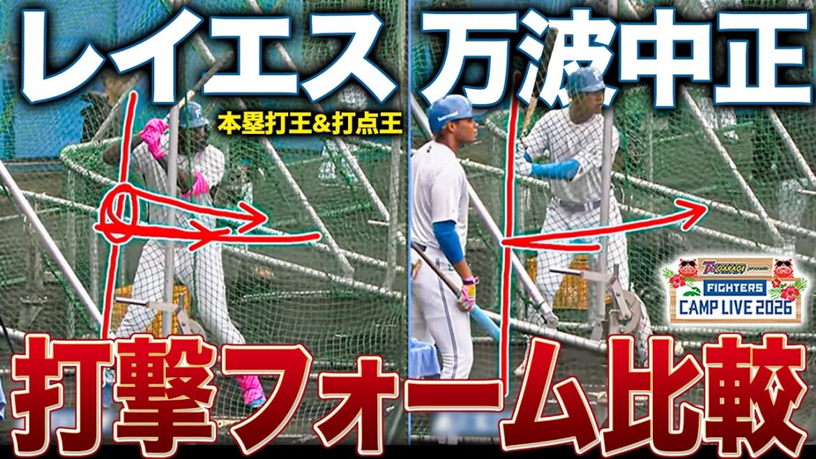 レイエス＆万波中正 打撃フォーム比較「(レイエスは)自分の間合いで打っている」＜2/16ファイターズ春季キャンプ2026＞