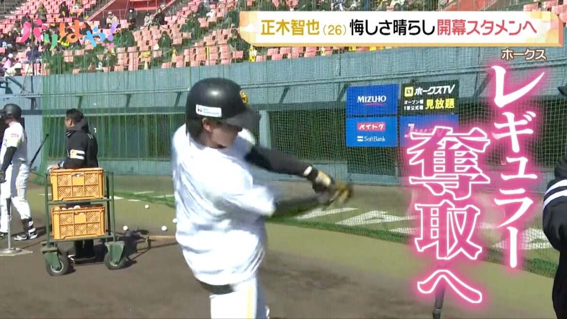 【完全復活】正木智也 肉体改造で長打力UP！レギュラー奪取を狙う｜川ちゃんのバリおしッホークス