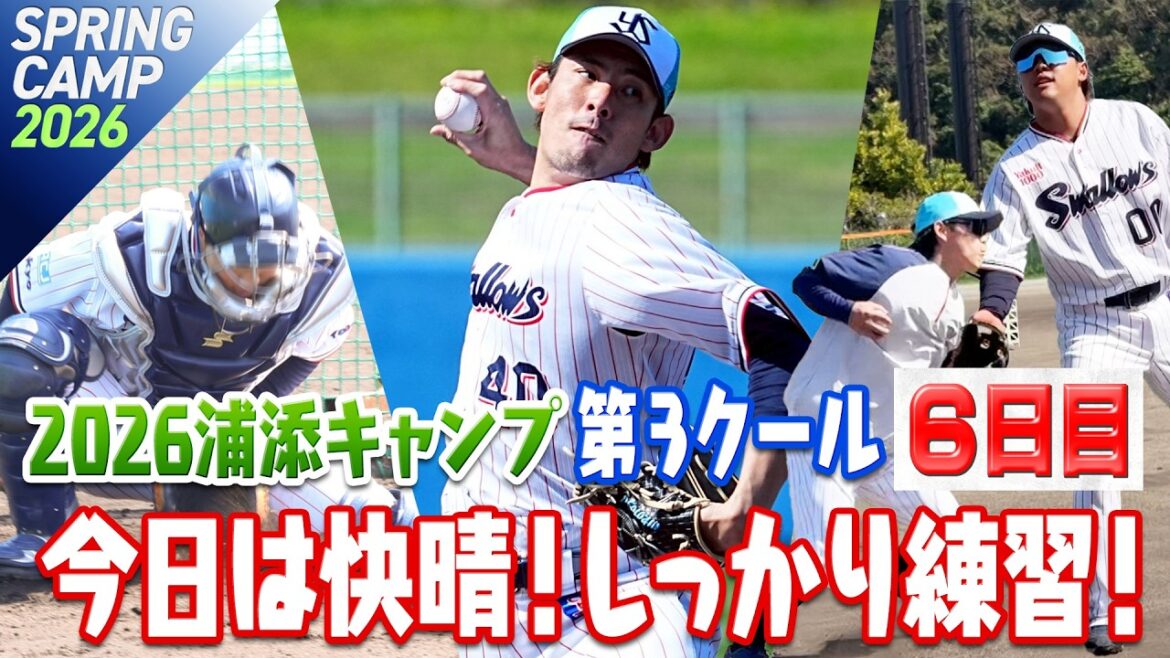 今日は快晴！しっかり練習！ 2026浦添キャンプ第3クール6日目