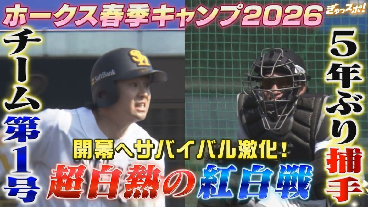 超白熱の紅白戦！栗原陵矢 ５年ぶりの捕手実戦＆川瀬晃 チーム第1号の3ランHR【ぎゅっスポ！ホークスこぼれ話】（２月１９日放送）
