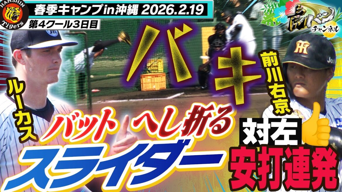 【バット破壊】評価UP中のルーカスは今日も好投！前川は激しいレギュラー争い中！！阪神タイガース密着！応援番組「虎バン」ABCテレビ公式チャンネル