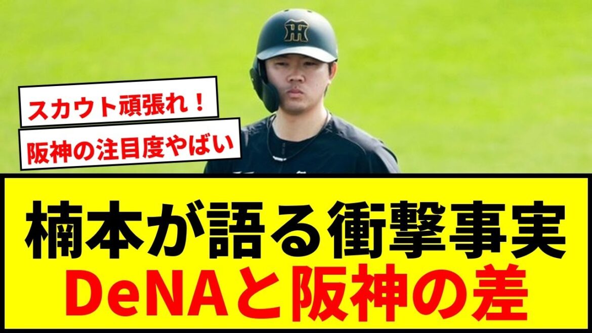 【衝撃】楠本泰史が明かすDeNAと阪神の“決定的な違い”「真逆でした」にファン騒然