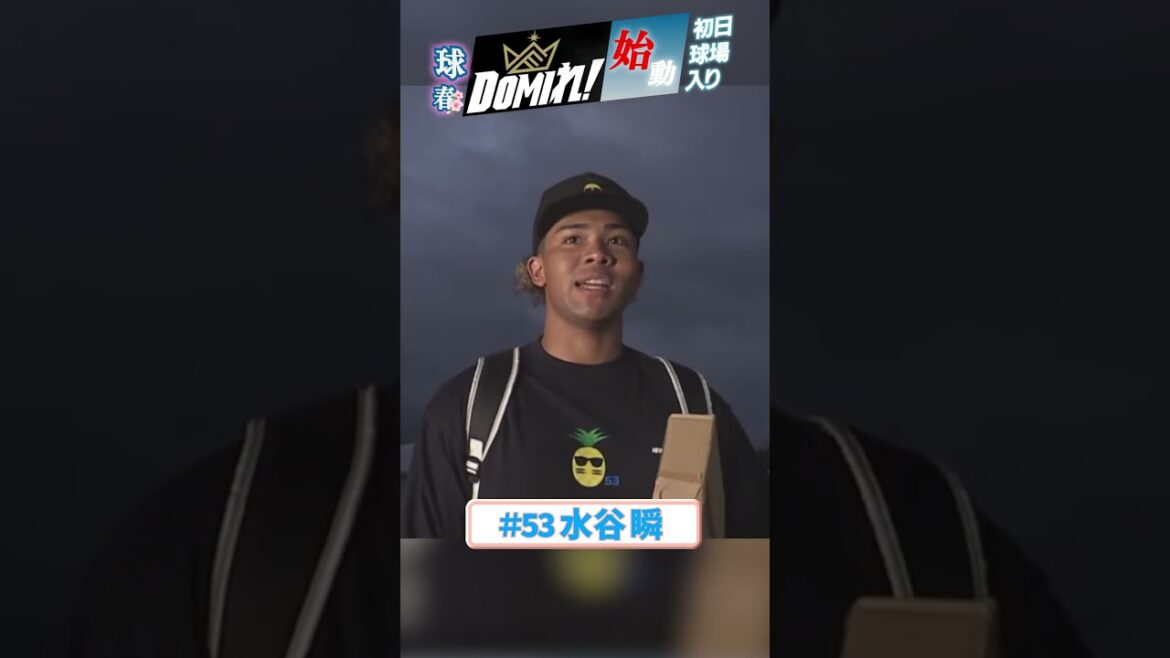 #水谷瞬 アグレッシブに 「進化」を誓う🔥#ドミれ#lovefighters