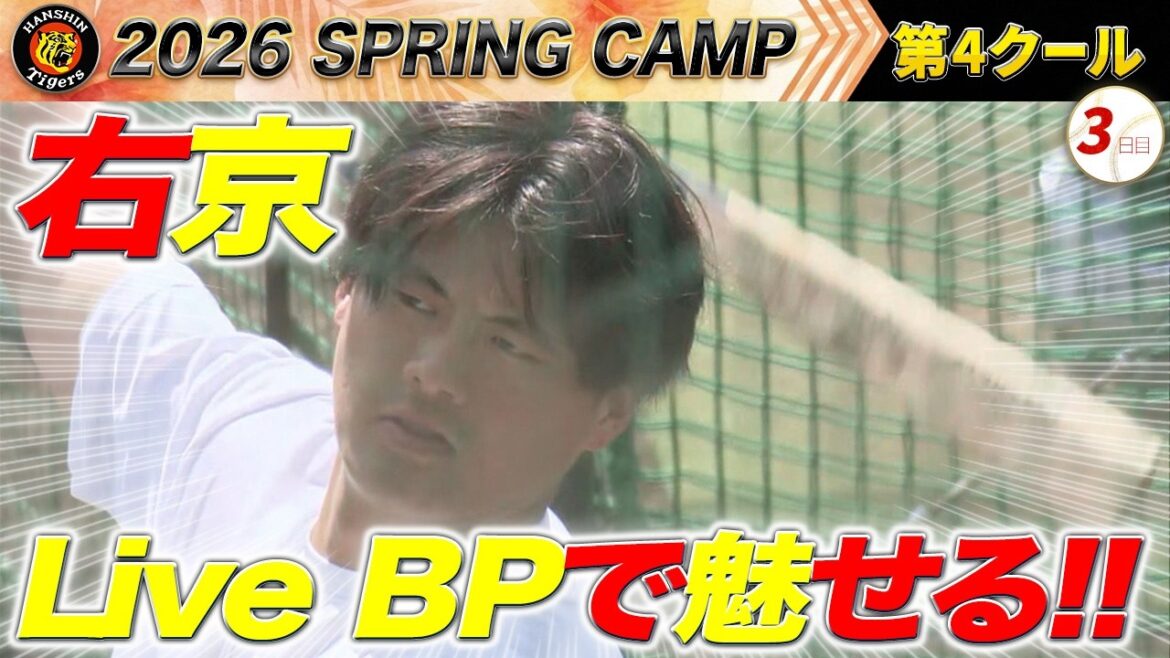【2/19阪神キャンプ】前川右京！Live BPで猛アピール！