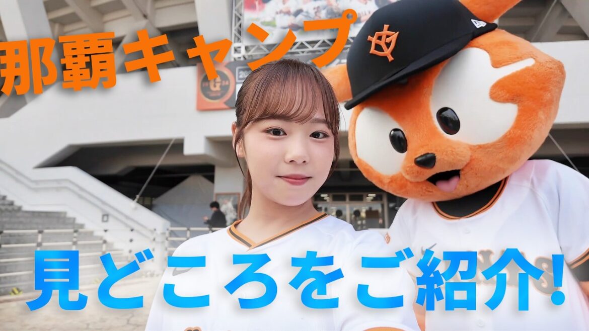 那覇キャンプの見どころをご紹介！