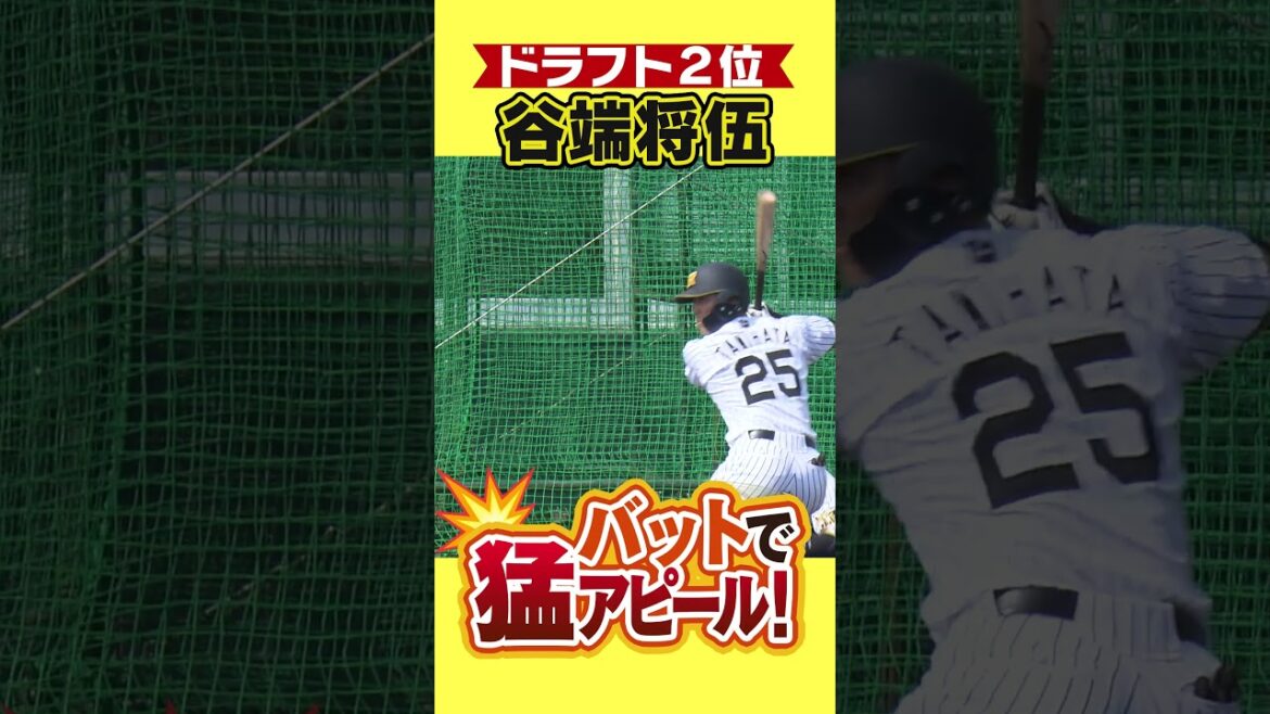 【ハッスル】立石には負けない！ドラ２谷端がバットで猛アピール！ #阪神タイガース #hanshintigers #虎バンチャンネル #プロ野球キャンプ #プロ野球