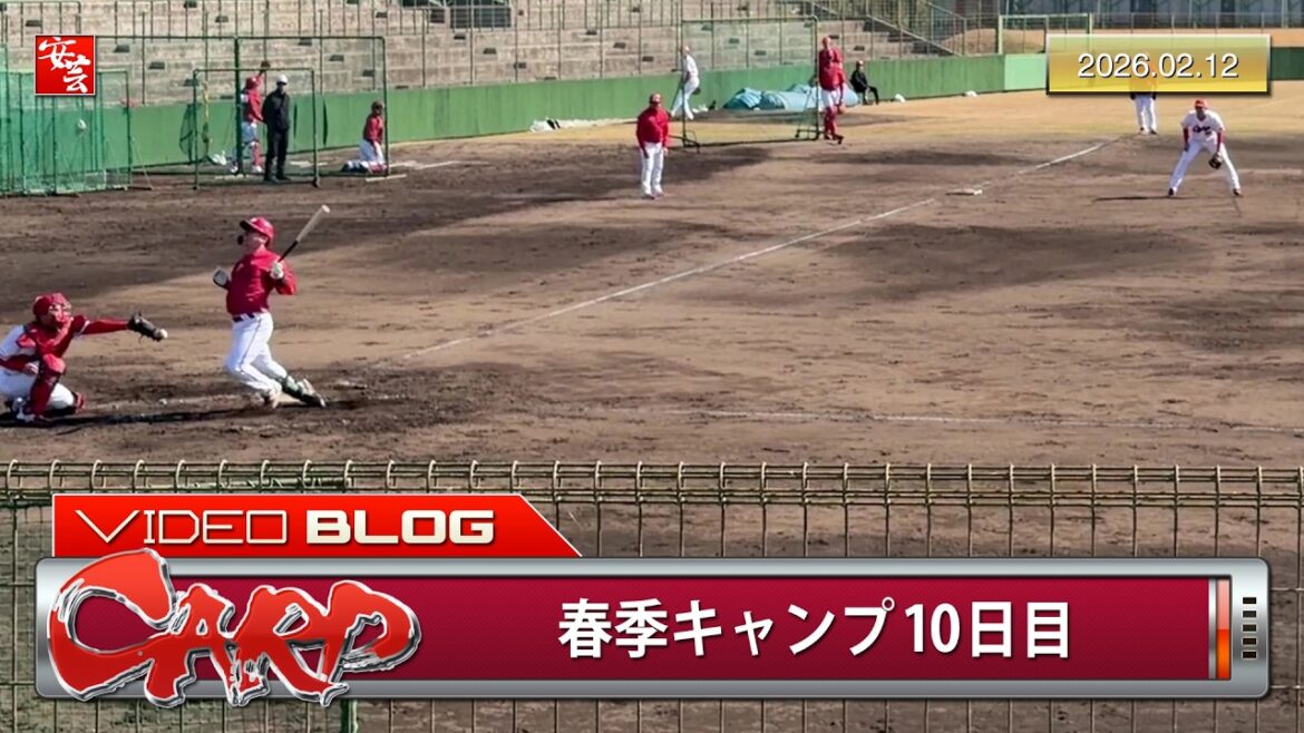 【今日のカープ】1軍は練習後に沖縄。2軍の紅白戦で矢野躍動、持丸受難（2026年2月12日）