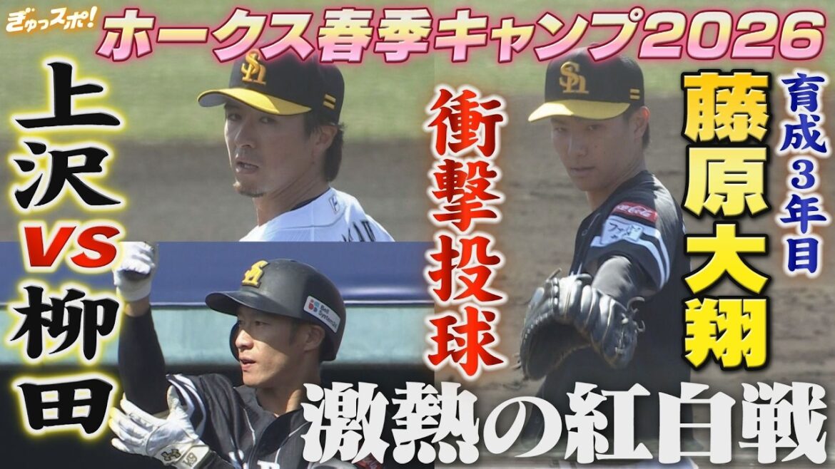 上沢VS柳田 激熱の紅白戦！育成・藤原大翔が最速155キロの衝撃投球【ぎゅっスポ！ホークスこぼれ話】