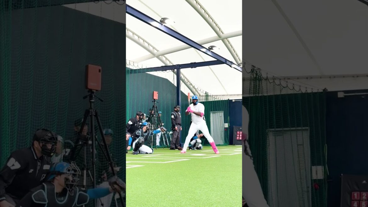 金村尚真投手のボールに思わずレイエス選手が日本語で一言。「スゴイ🫥」 #ドミれ  #lovefighters