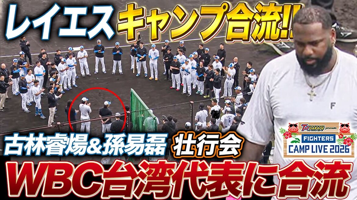 レイエスがファイターズキャンプ合流‼️古林睿煬/孫易磊はWBCキャンプへ旅立ち＜2/16ファイターズ春季キャンプ2026＞