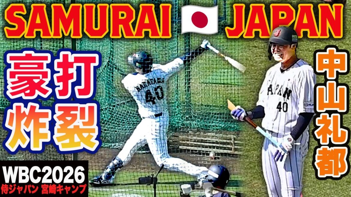 【WBC2026宮崎キャンプ】 井端監督の前で豪快な柵越え！お助け侍 中山礼都 2026年シーズン大活躍を感じさせるバッティング練習