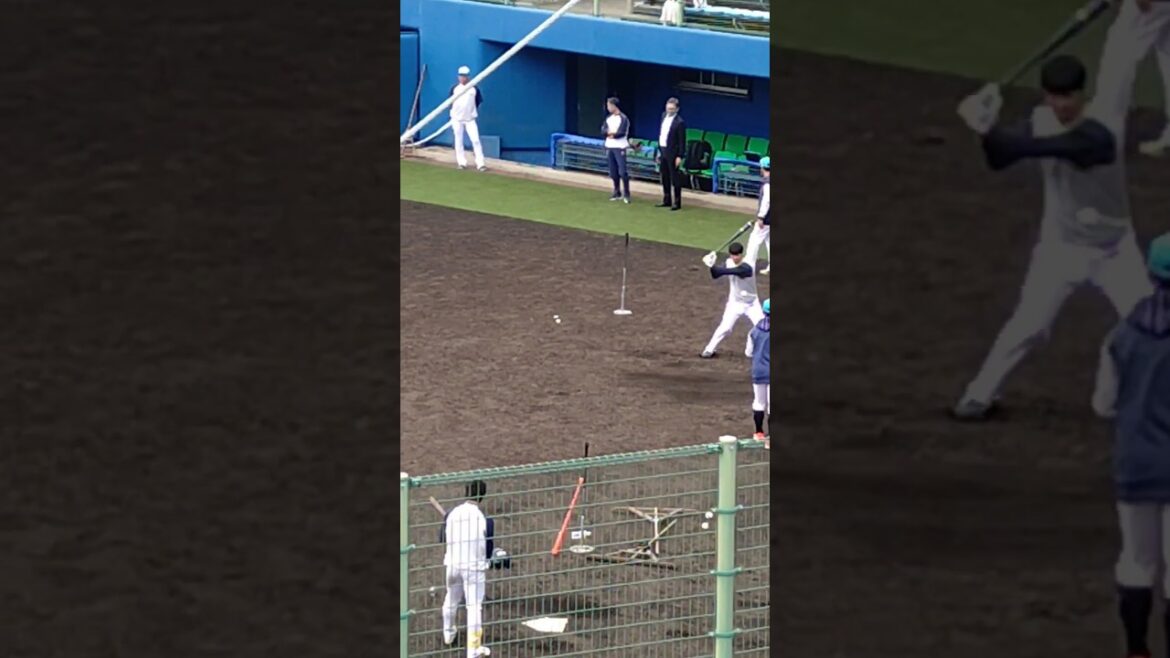 #長岡秀樹 　#古賀優大 　 #東京ヤクルトスワローズ 　#shorts  #燕征 　 #応燕 　#燕心全開 　 #沖縄 　 #春季キャンプ 　#浦添 　#バッティング