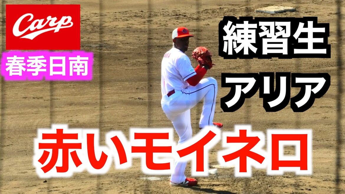 【モイネロ！？】練習生アリアの全投球！「【２０２６広島東洋カープ春季日南キャンプ紅白戦】