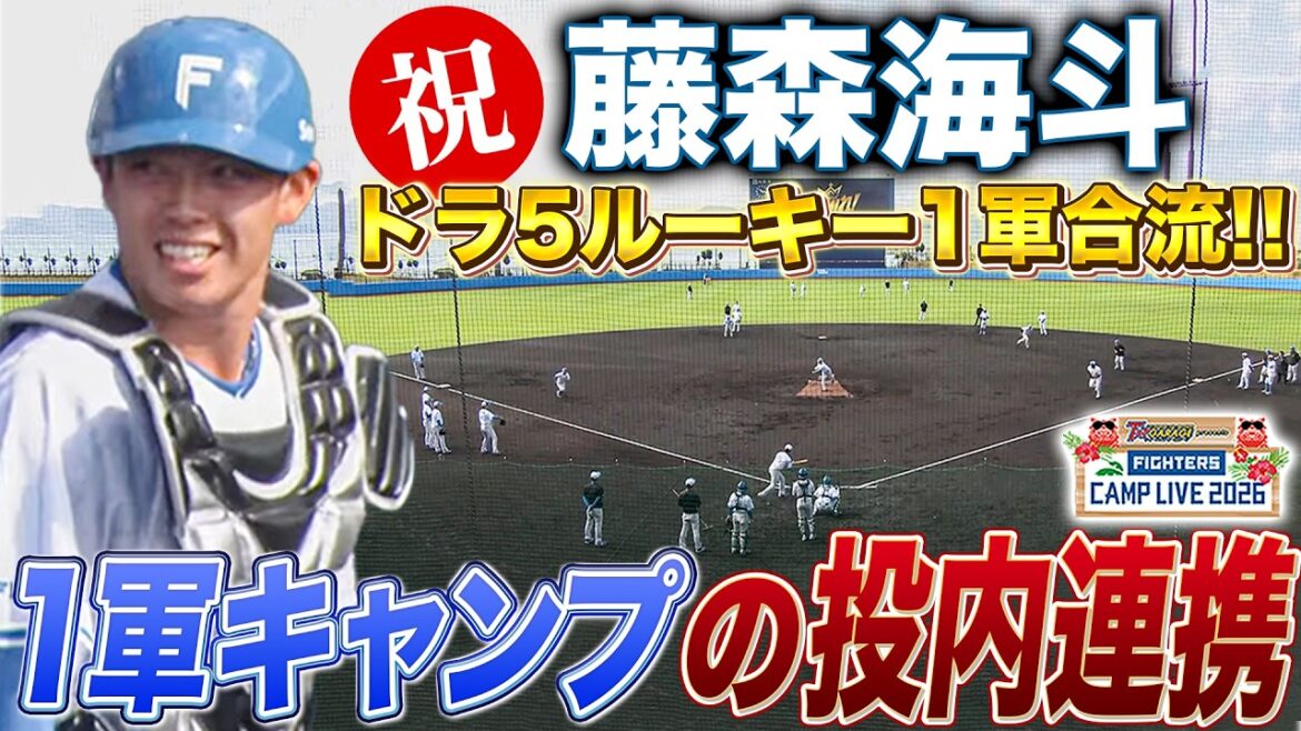 ルーキー藤森海斗が初の1軍キャンプ合流‼️1軍の投内連携に試合よりも緊張の様子＜2/21ファイターズ春季キャンプ2026＞