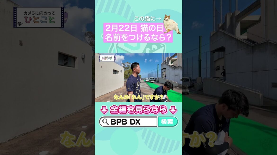 【2月22日 猫の日企画】ペットとして猫を飼うことに！名前を付けるなら？#阿部翔太 #山崎颯一郎 #猫の日 #オリックス #shorts