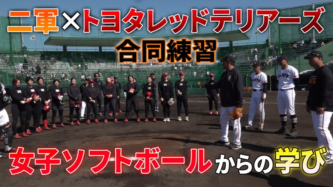 女子ソフトボールチームからの学び