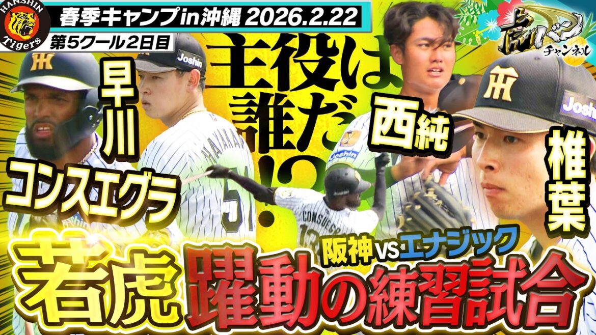 【練習試合in具志川】若虎たちが虎の主役に名乗りを挙げる！早川＆椎葉が無失点快投！コンスエグラ＆西純もバットで猛アピール！阪神タイガース密着！応援番組「虎バン」ABCテレビ公式チャンネル