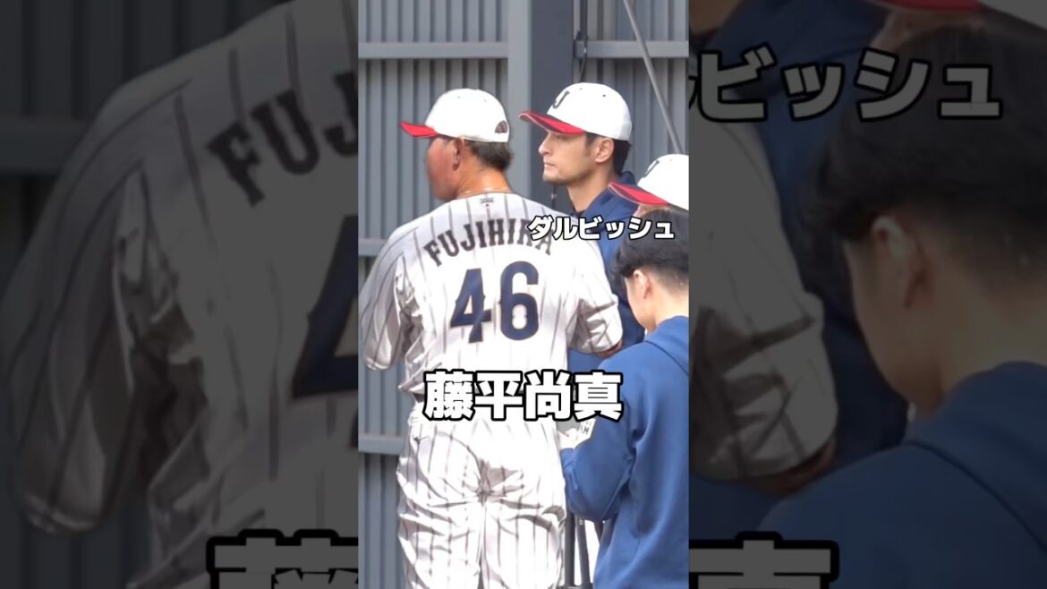 侍ジャパン　ダルビッシュ思わず頷いた！藤平尚真のブルペン投球　侍ジャパン　横浜高校#侍ジャパン #WBC #野球 #日本代表 #プロ野球 #ダルビッシュ #藤平尚真  #楽天