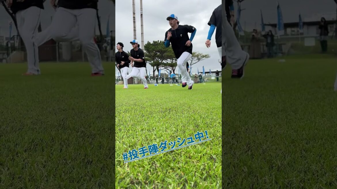 キャンプ初日、走ります💨💨💨 #齋藤友貴哉 #ドミれ #lovefighters