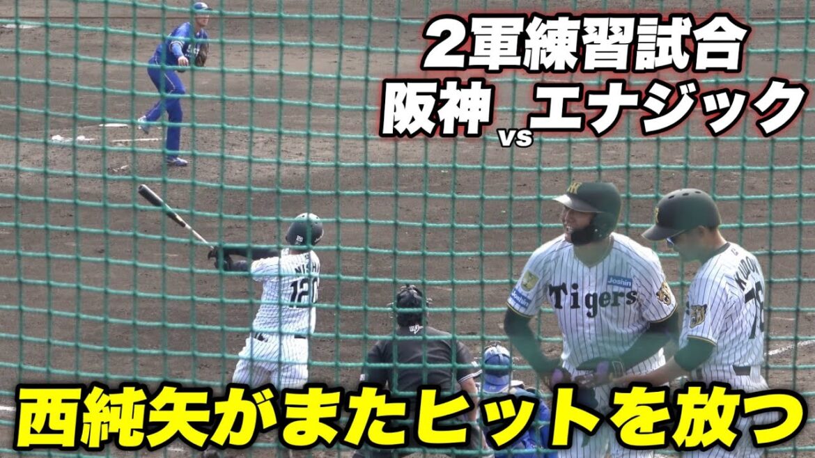【西純矢がヒットを放ち観客を沸かすも エラー連発で社会人相手にまさかの展開に、、】2軍阪神対エナジック