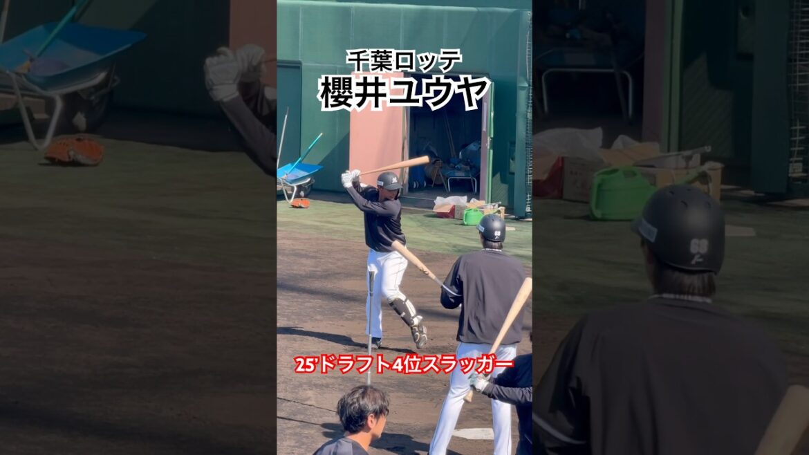#櫻井ユウヤ #千葉ロッテマリーンズ #ドラフト #高校野球 #プロ野球
