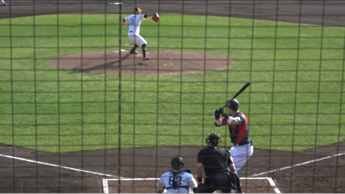 ホークスアルメンタがヤバすぎる🥹佐藤輝明・周東・小園から奪三振を含む侍ジャパン主力斬り🥷侍ジャパンシリーズ2026.2.23宮崎⚾️侍ジャパン vS福岡ソフトバンクホークス