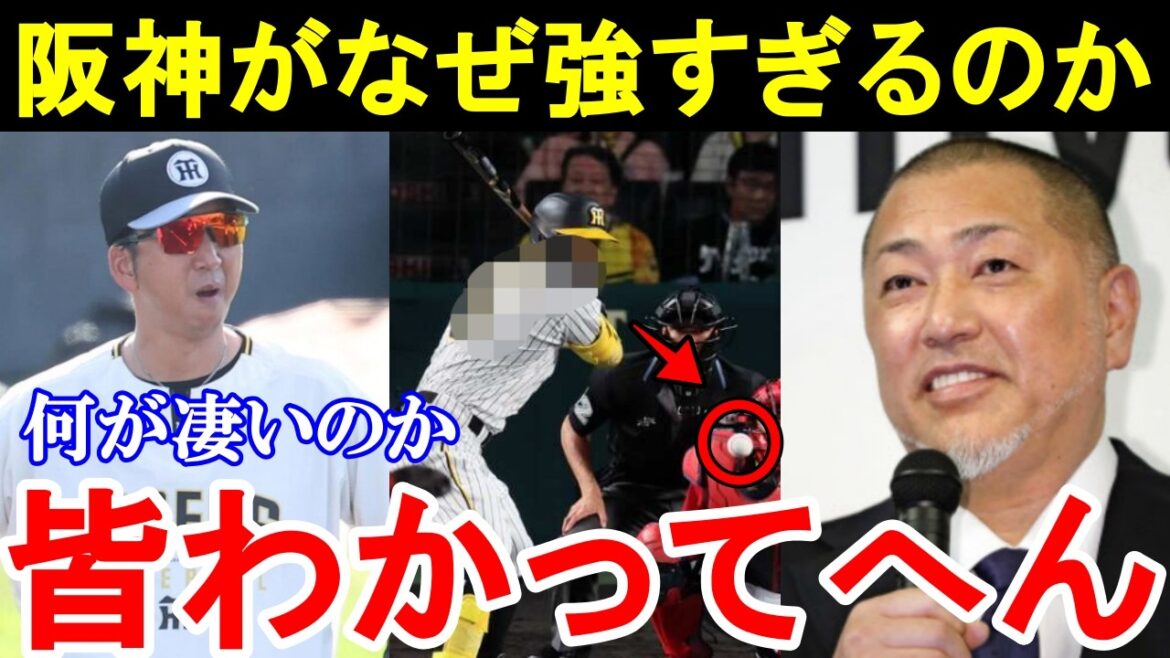 清原和博「阪神が強すぎるのは●●だからやで」黄金期を予感させる藤川阪神に番長の漏らした本音が的確すぎた。【阪神タイガース/プロ野球】