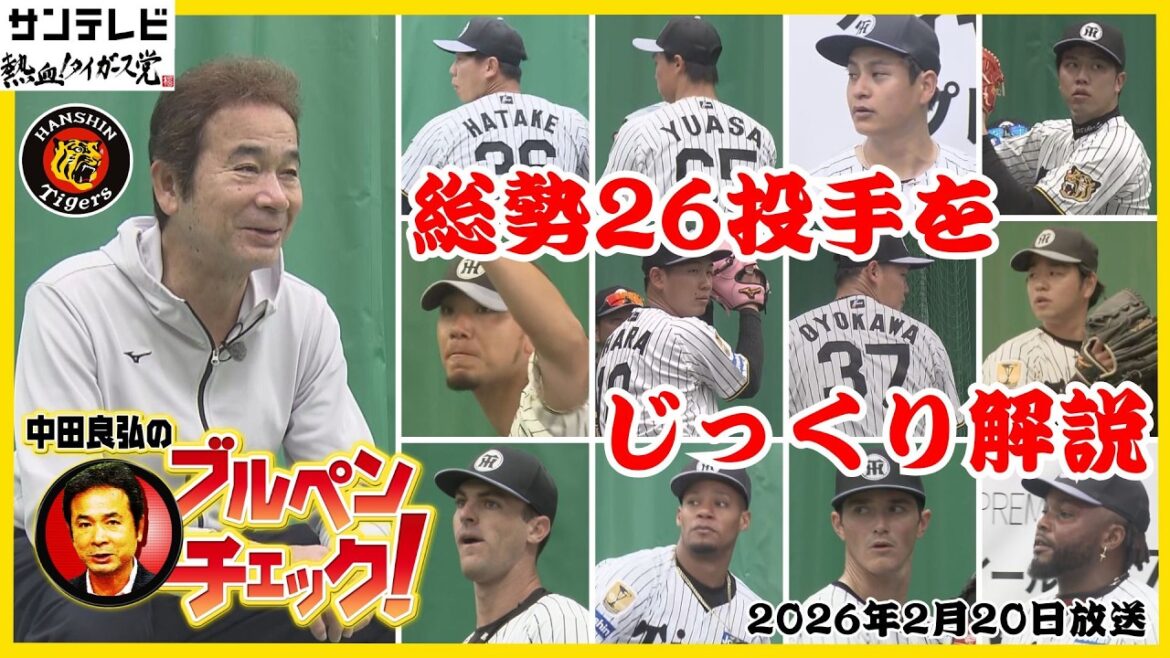 【仕上がりが全体的に早い！】総勢26投手のブルペンをチェック！より多くの投手をより詳しく解説！ #熱血タイガース党