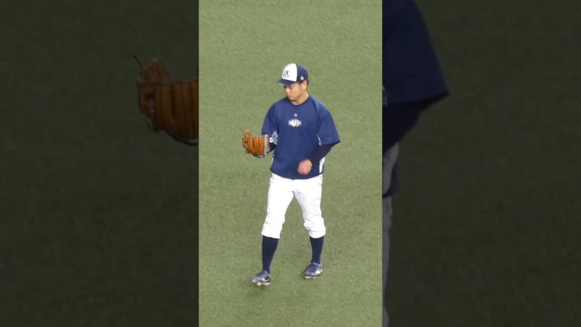 山崎 晃大朗　何この歌？　#東京ヤクルトスワローズ #shorts