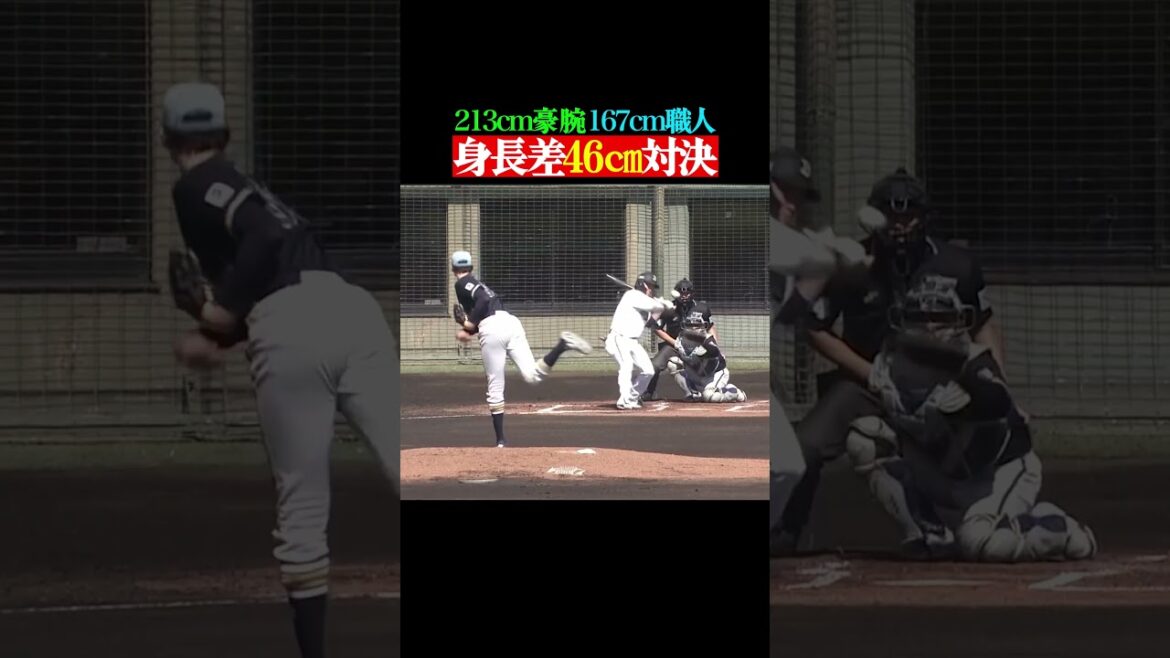 Pacific-League: 【注目対決】”213cm” vs “167cm” #shorts 【注目対決】"213cm" vs "167cm" #shorts