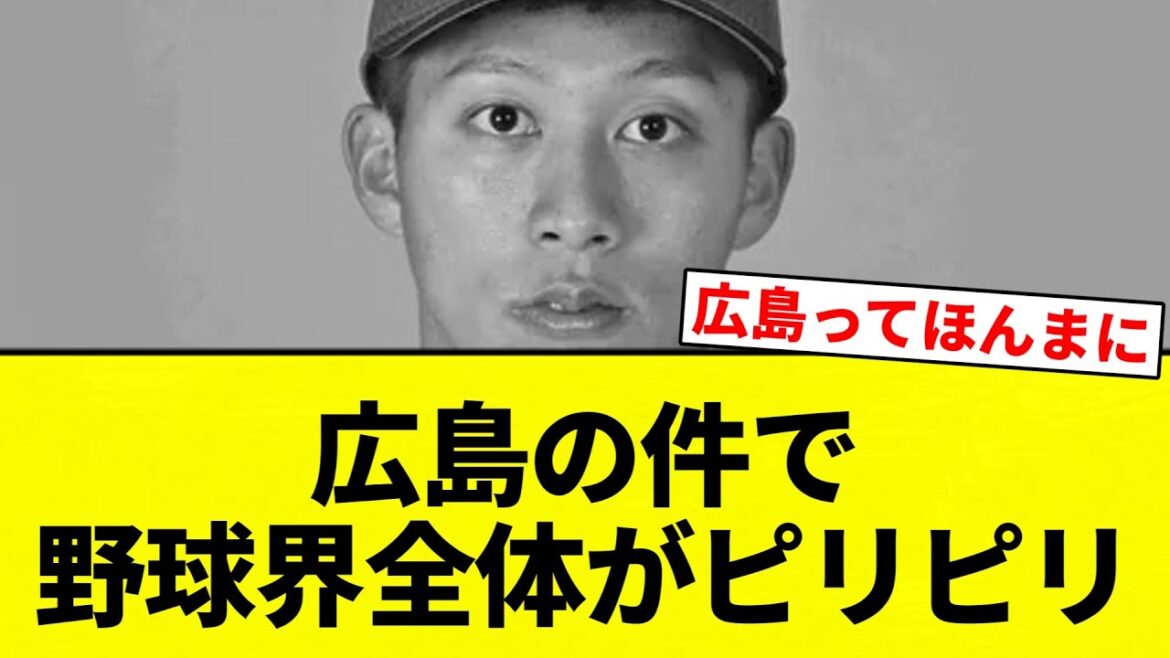 【びりびりしてんねん！】広島の件で野球界全体がピリピリ【プロ野球反応集】【2chスレ】【なんG】